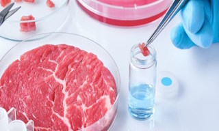 Лабораторный анализ пищевых продуктов по СанПиН в Черемхове в октябре